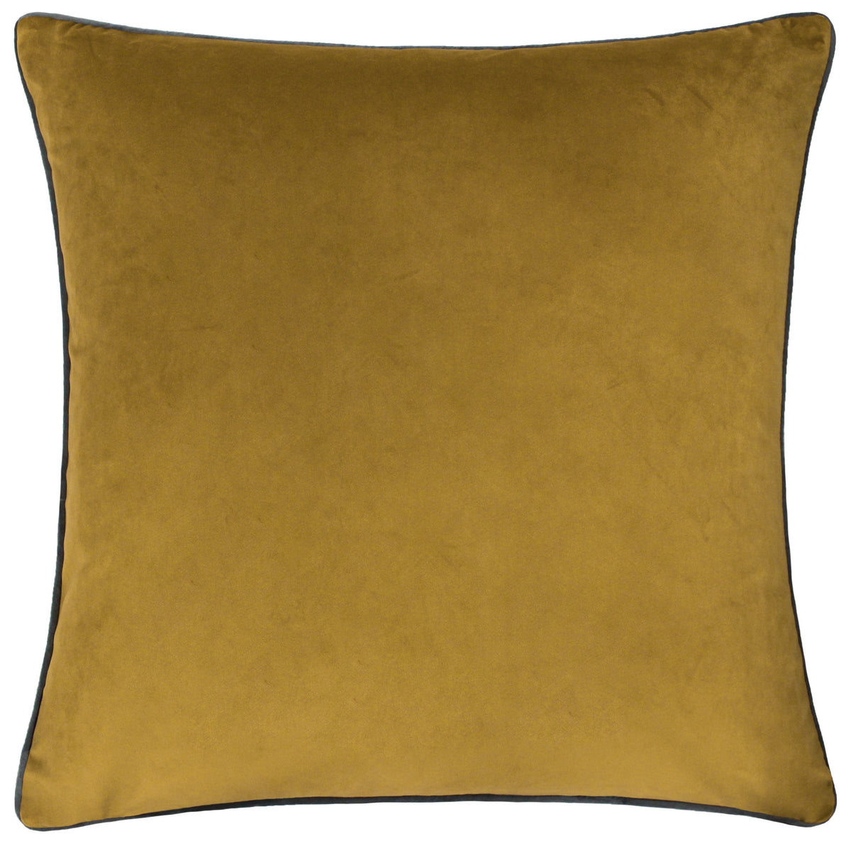 Coloured Velvet Cushions with coordinating coloured piping from Furn