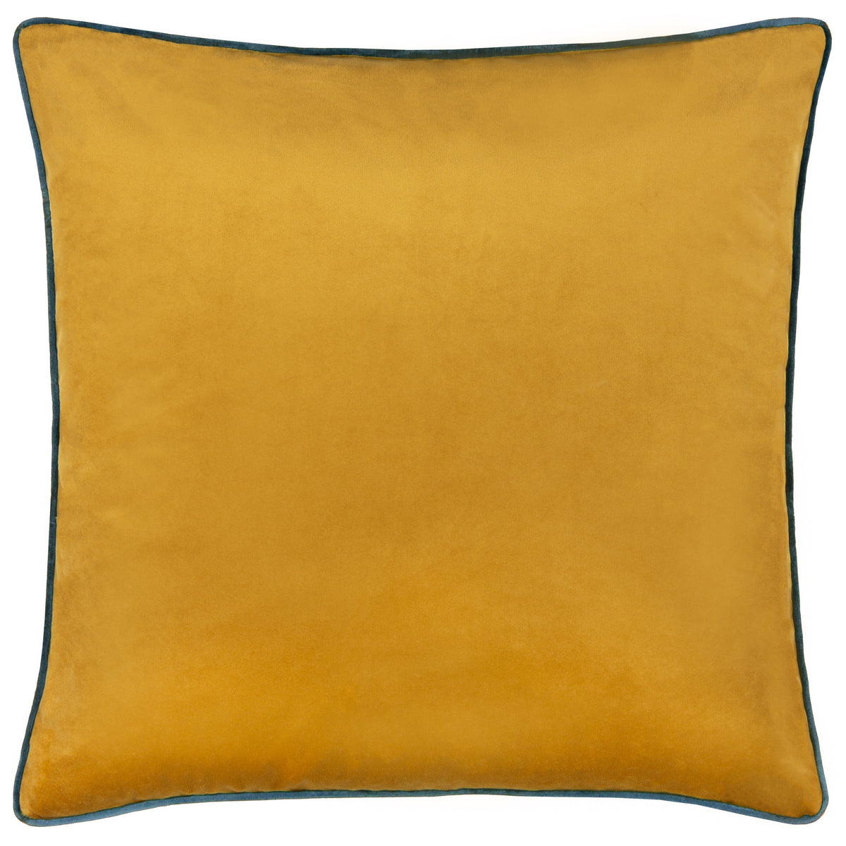 Meridian velvet cushions with coloured piping from Furn