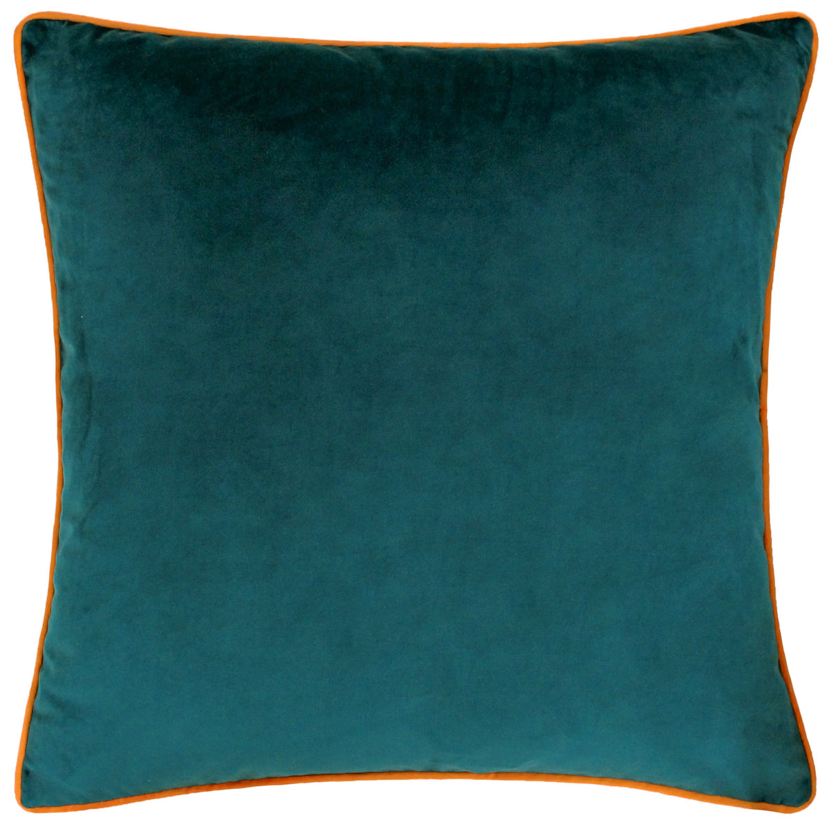 Meridian velvet cushions with coordinating coloured piping