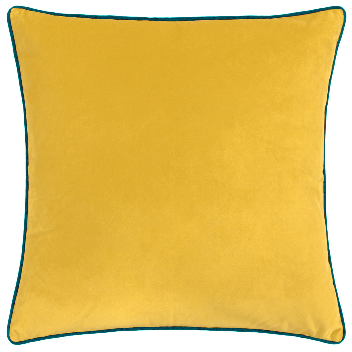 Velvet Cushion in the Paoletting range at Little Gems Interiors Soft Furnishings in Suffolk