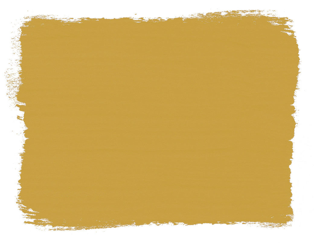 CARNABY YELLOW 120ML WALL PAINT