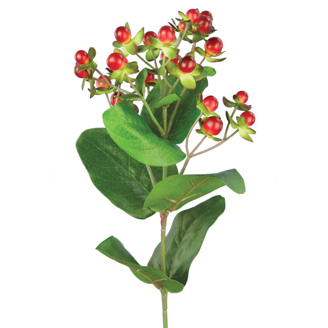 Hypericum Red Berry Spray
