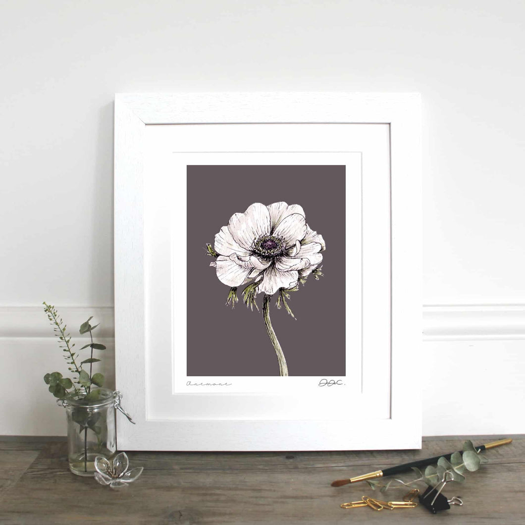 Anemone 10×12″ Mounted Fine Art Print