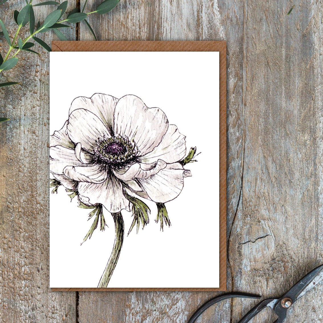 Anemone Card