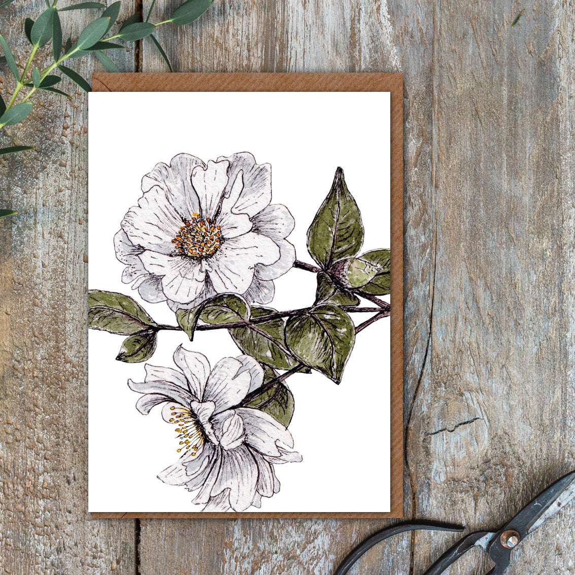 Camellia Card