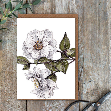 Camellia Card