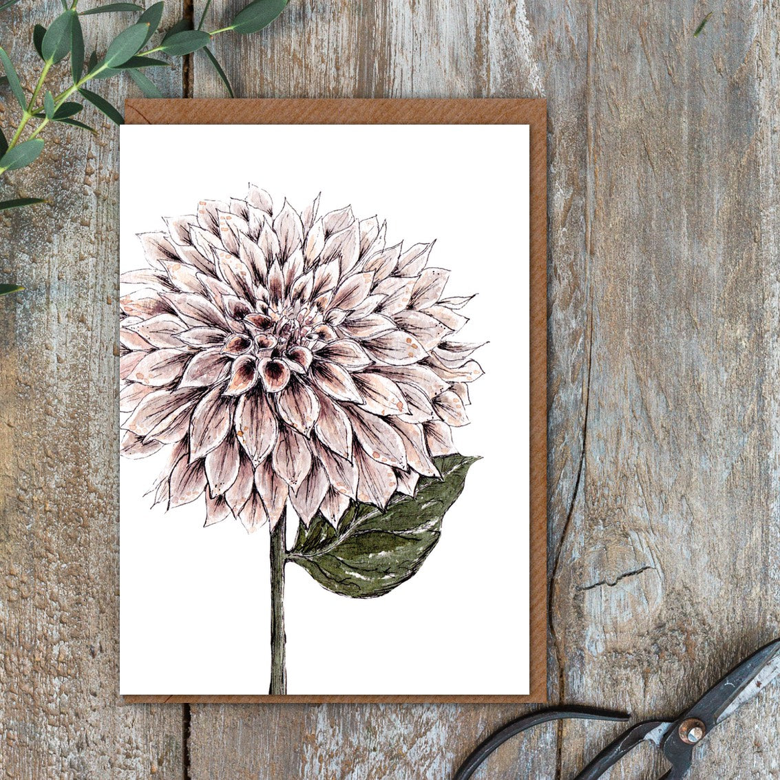 Dahlia Card