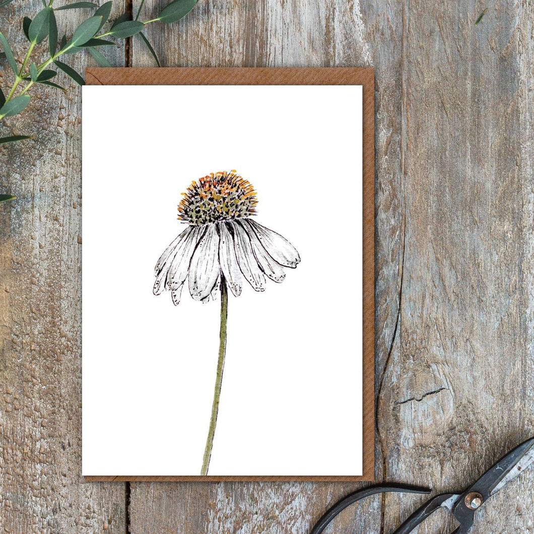 Echinacea Card (Cello-Free)