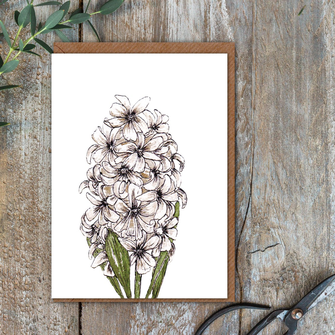 White Hyacinth Card