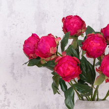 Load image into Gallery viewer, Hybrid Faux Peony Bud
