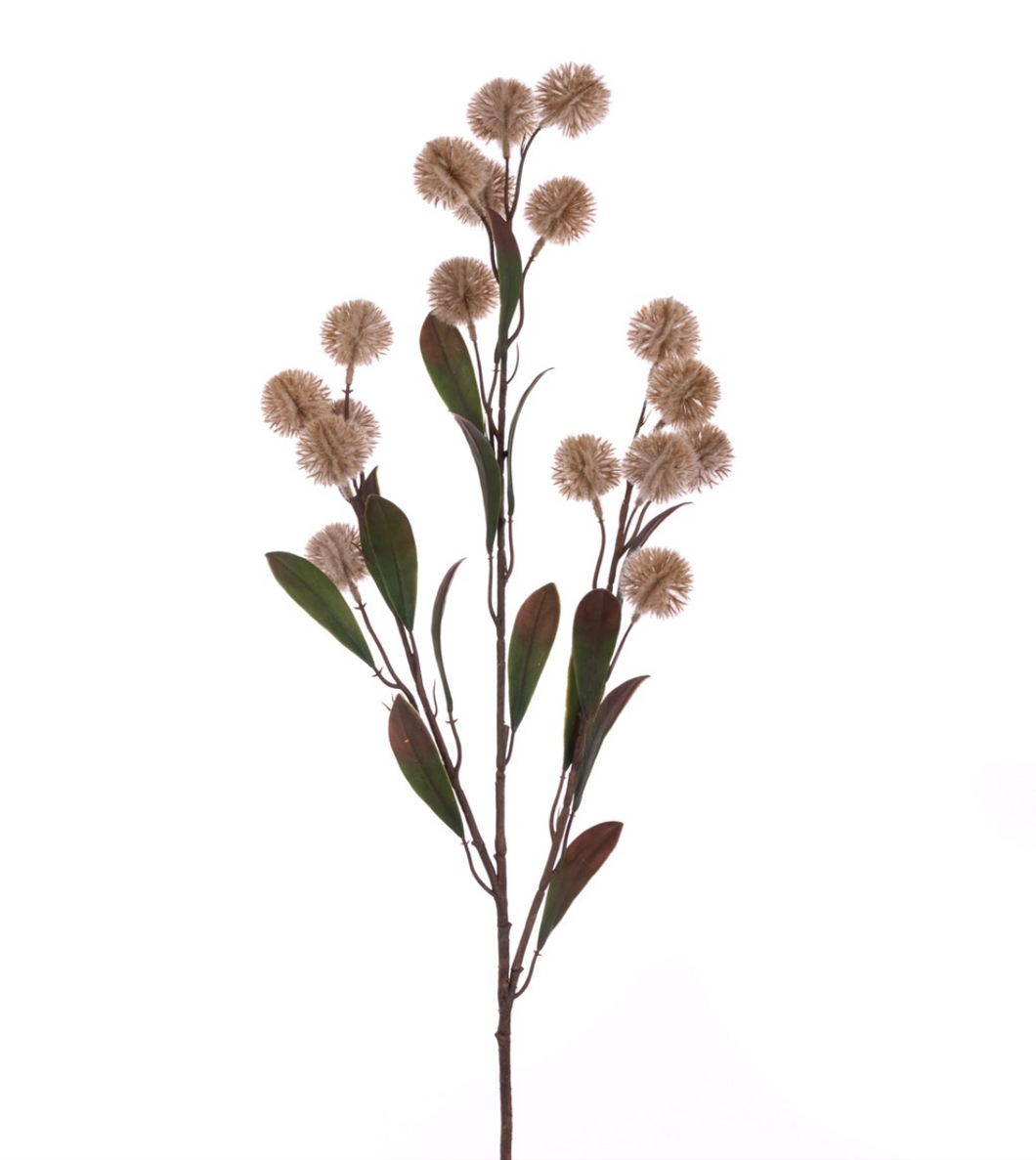 Natural Pom Pom Spray