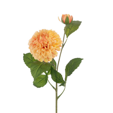 POM POM DAHLIA STEM 60cm