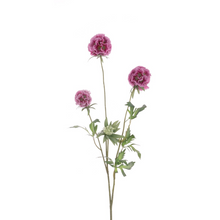 Load image into Gallery viewer, SILK SCABIOSA STELLATA SPRAY 73CM
