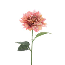 Load image into Gallery viewer, Juliet Dahlia
