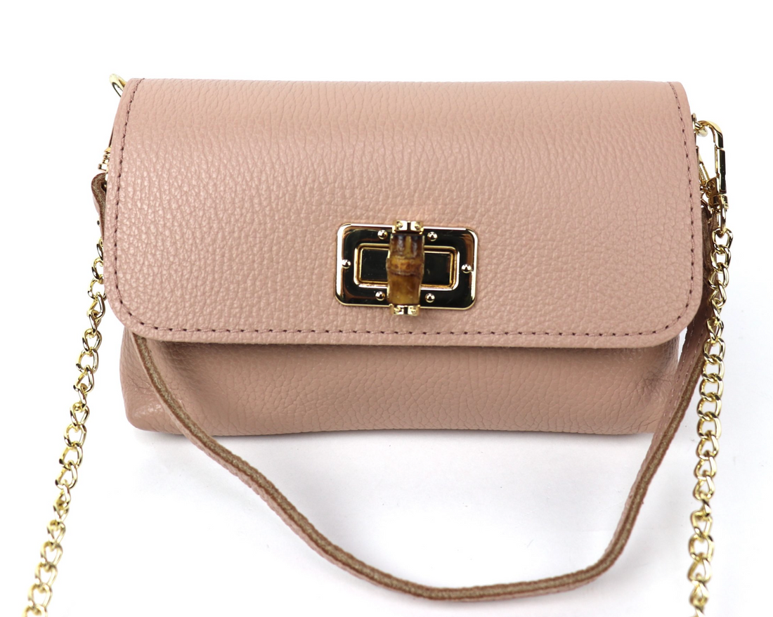 Small Clutch/Shoulder Cross Body Bag