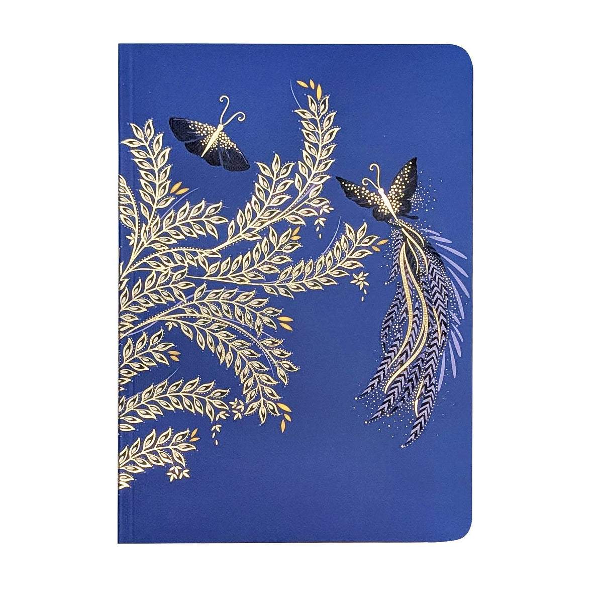 Sara Miller Birthday - Set of 3 B6 Notebooks