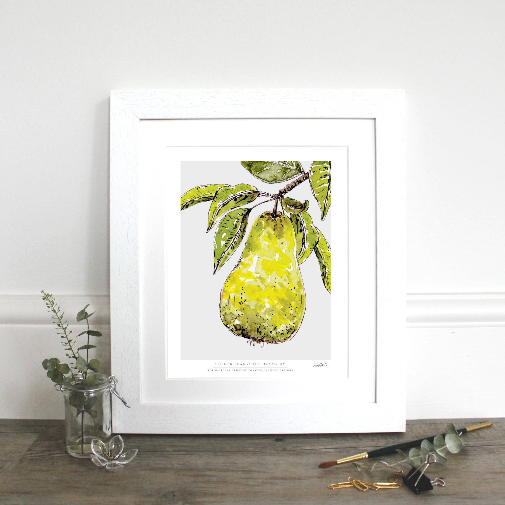 Golden Pear 10 x 12" Fine Art Print