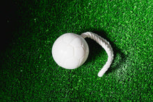 Load image into Gallery viewer, Football Soap on a Rope
