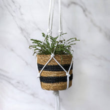 Load image into Gallery viewer, Luxe Decor Craft Kit - Macrame Hanging Planters
