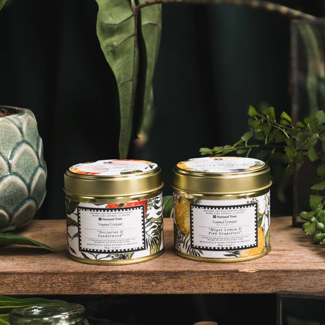 Meyer Lemon & Pink Grapefruit Candle in a Matt Gold Tin