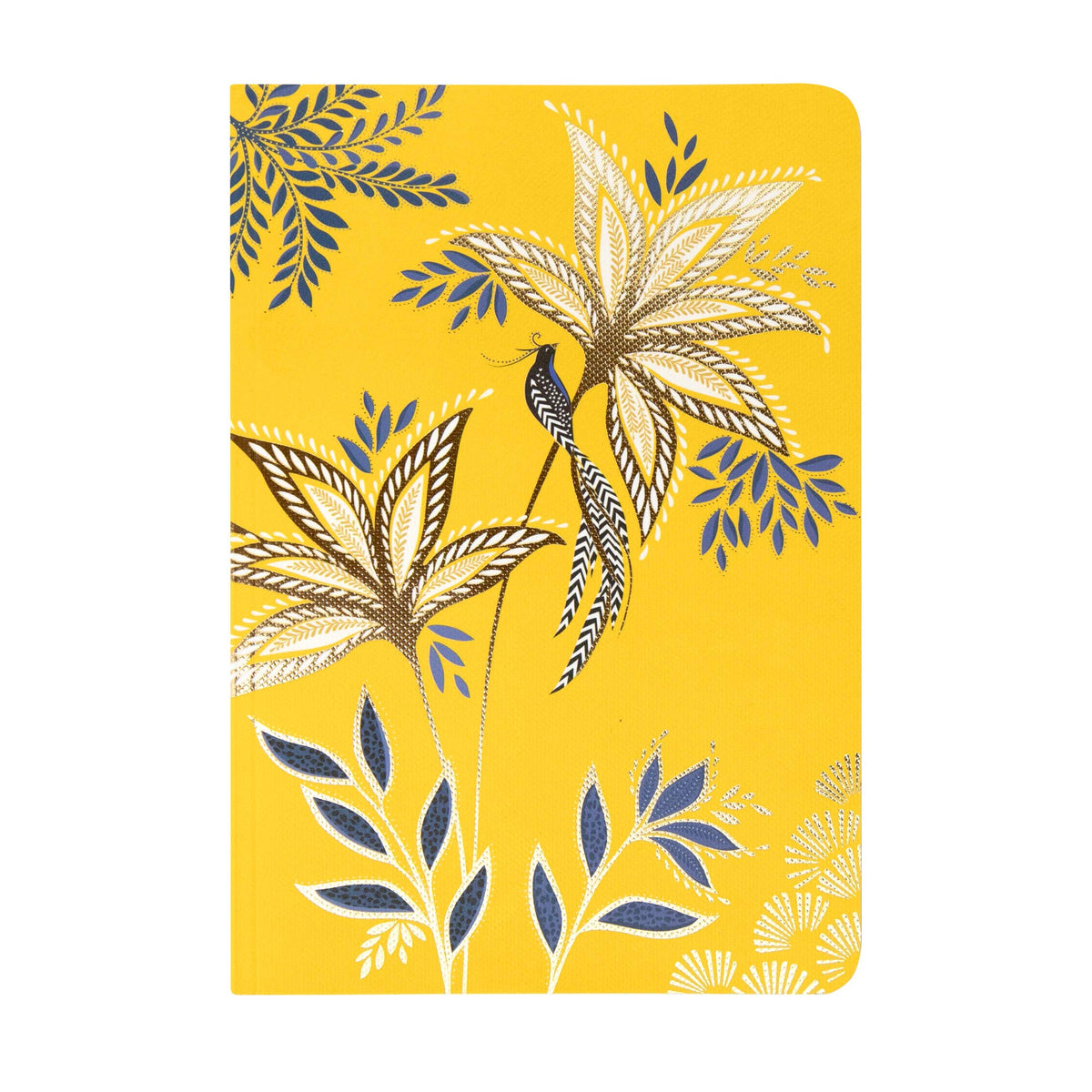 Sara Miller Birthday - Set of 3 B6 Notebooks