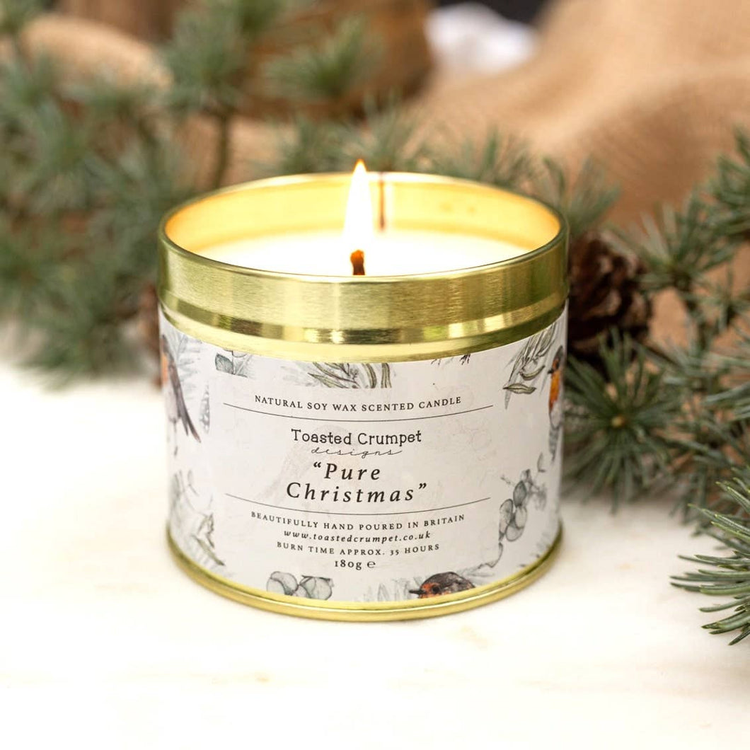 Pure Christmas (Robin & Eucalyptus Pure) Candle in a Matt
