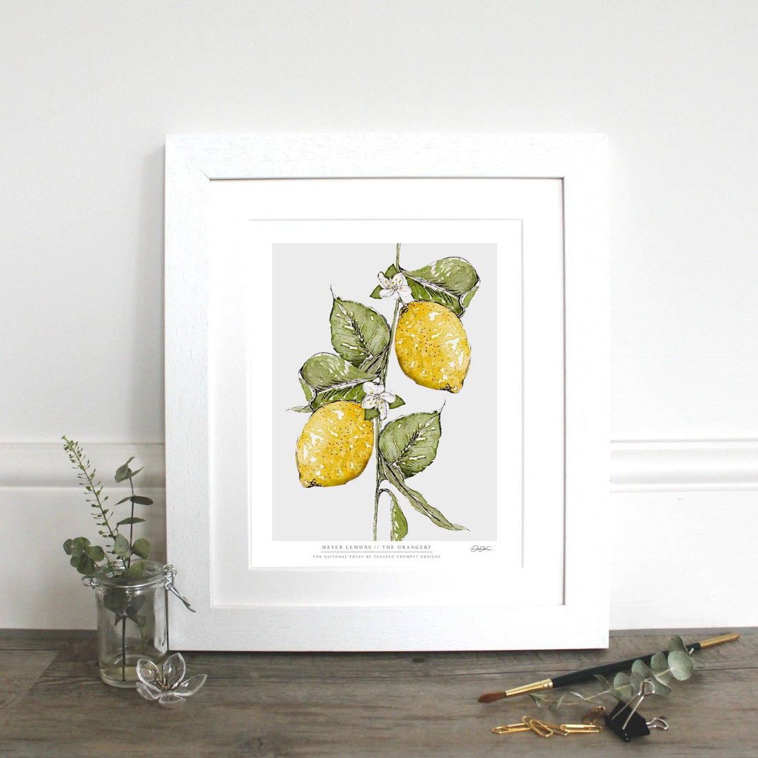 Meyer Lemons 10 x 12" Fine Art Print