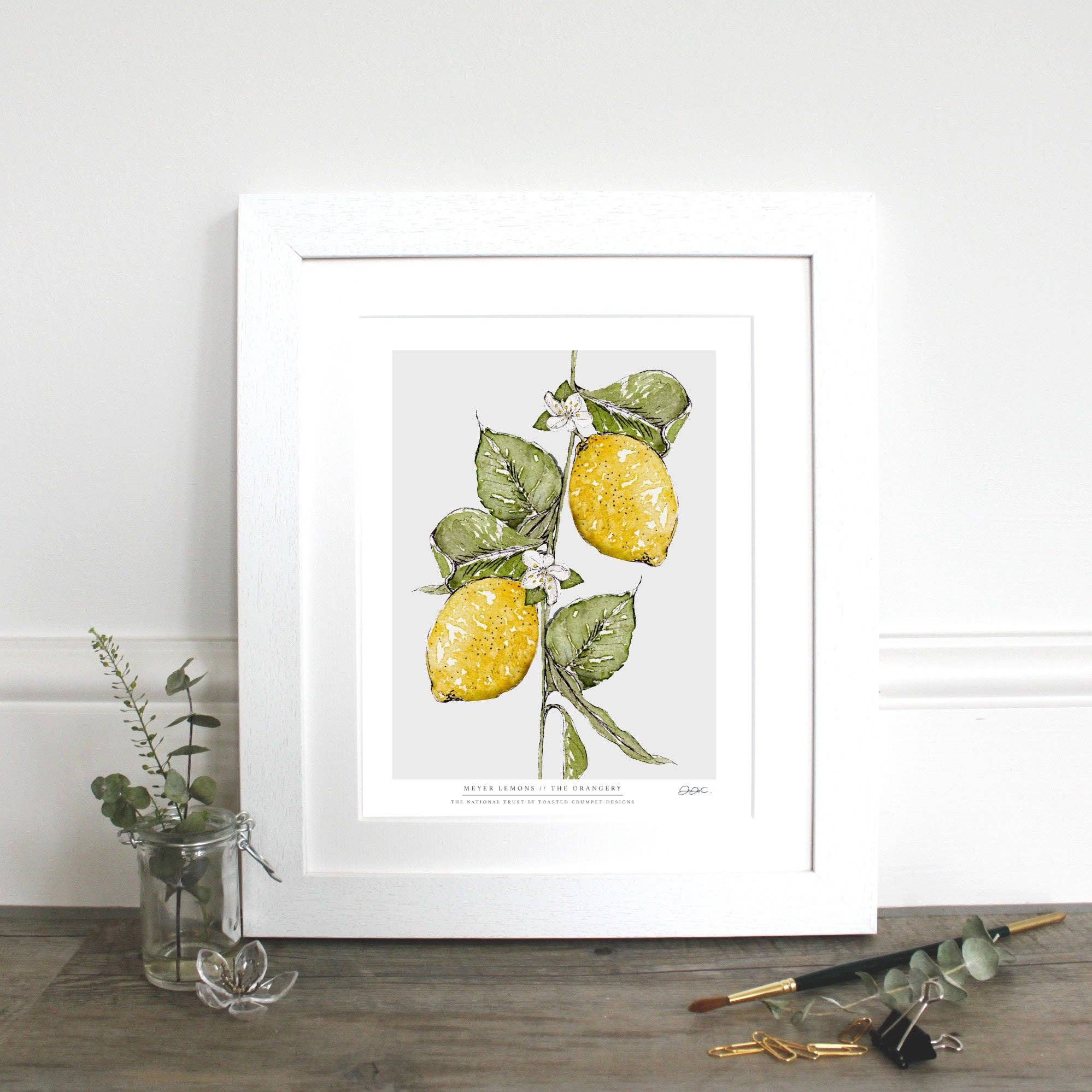 Meyer Lemons 10 x 12" Fine Art Print