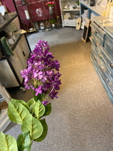 Load image into Gallery viewer, Lilac Long Stem
