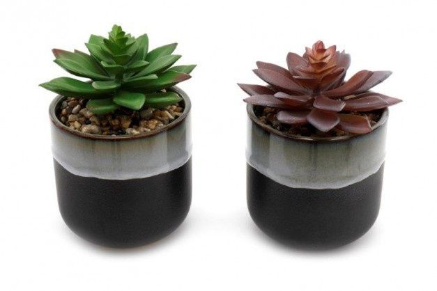 Smoked Grey Succulent Pot