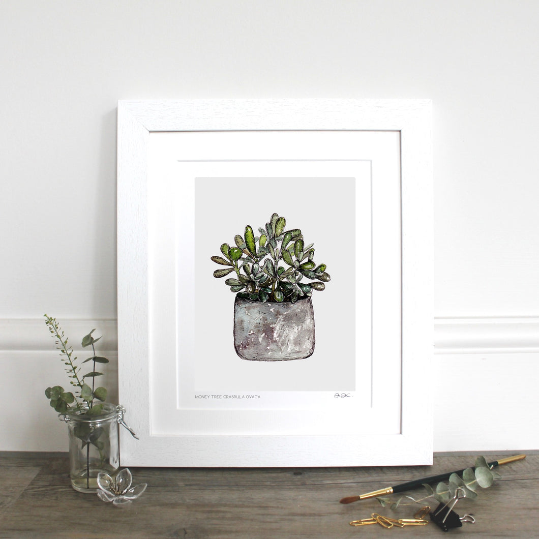 Money Tree - mounted fine art print