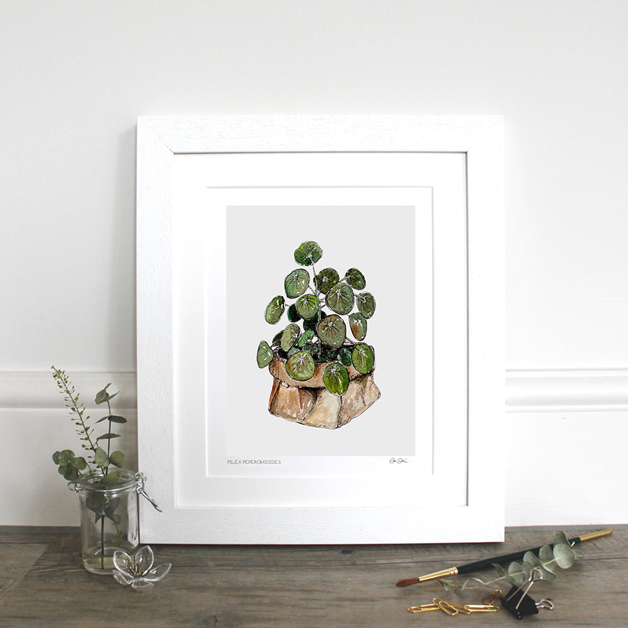 Pilea Peperomioides - mounted fine art print