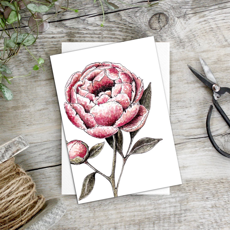 Peony – Set of 6 notecards