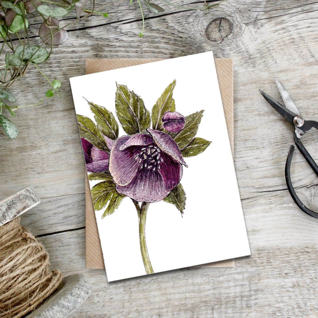 Hellebore Card