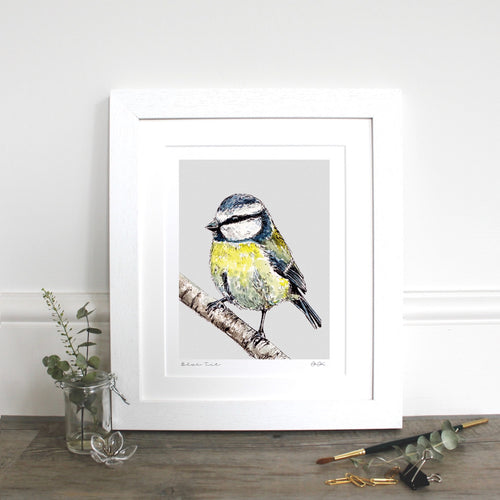 Blue Tit 10×12″ Mounted fine art print - Little Gems Interiors
