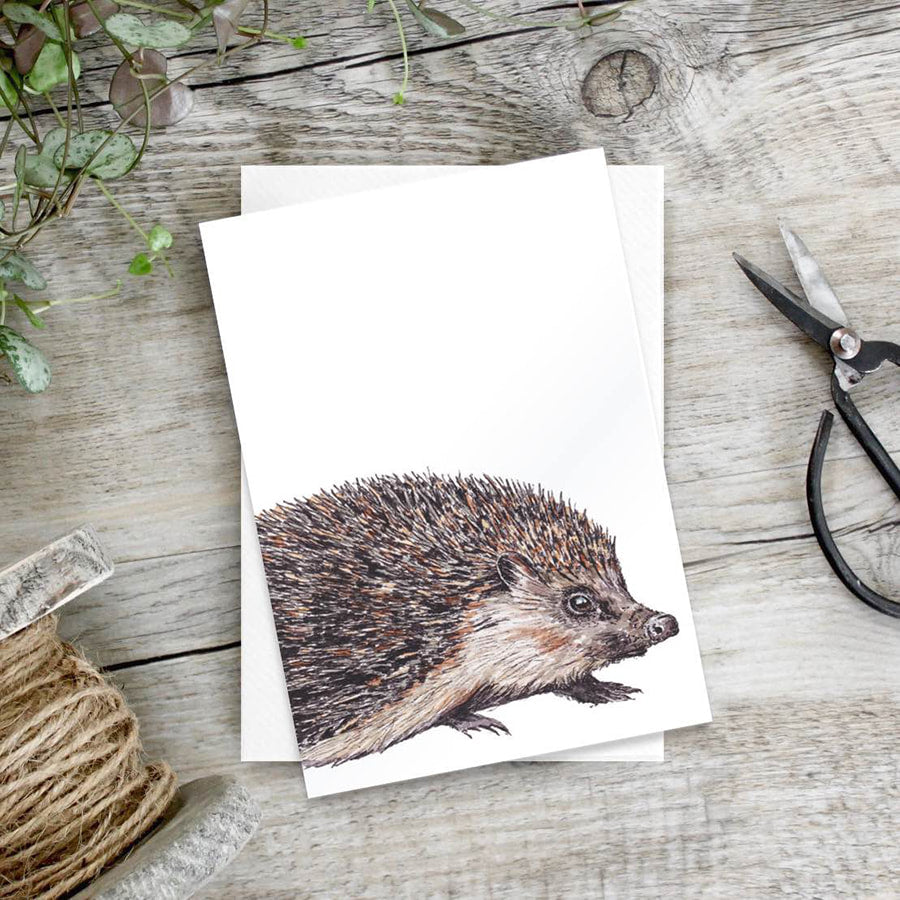 Hedgehog - set of 6 notecards