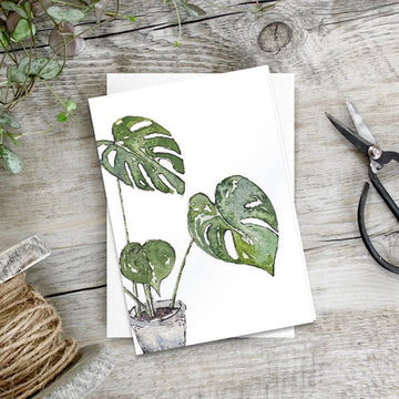 Monstera – Set of 6 notecards - Little Gems Interiors